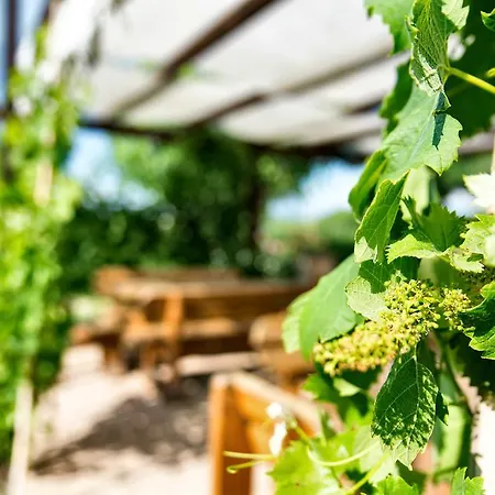 Alloggio per agriturismo Casale Dei Mattonari